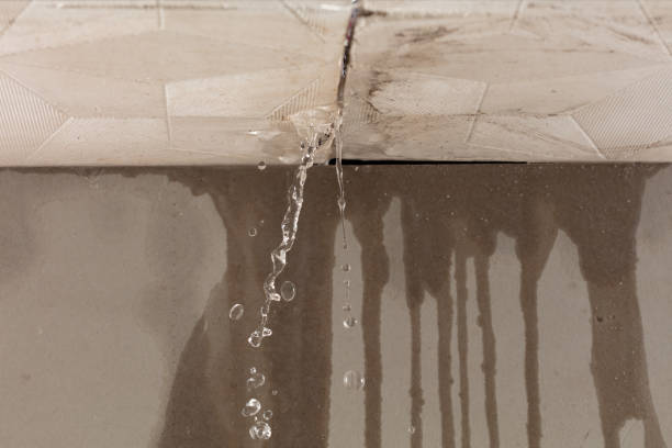 Professional Water Extraction technician working in Alloy, WV